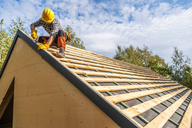 Best Roof Maintenance Services  in Ocean Springs, MS