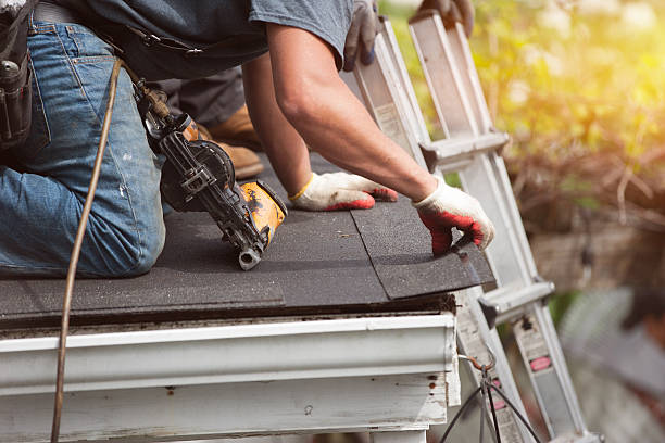 Best Roof Gutter Cleaning  in Ocean Springs, MS